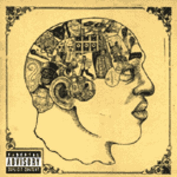Cover ROOTS, phrenology