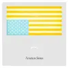 ROSTAM – american stories (CD, Kassette, LP Vinyl)