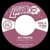 ROY PANTON – endless memory (7" Vinyl)