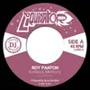 ROY PANTON – endless memory (7" Vinyl)