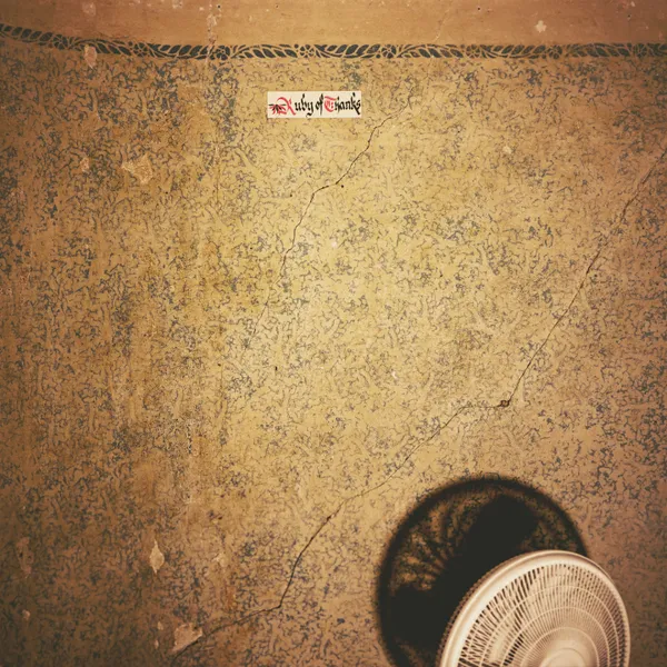 RUBY OF THANKS – before you turn into a dog (LP Vinyl)