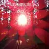 RUSSIAN CIRCLES – empros (LP Vinyl)