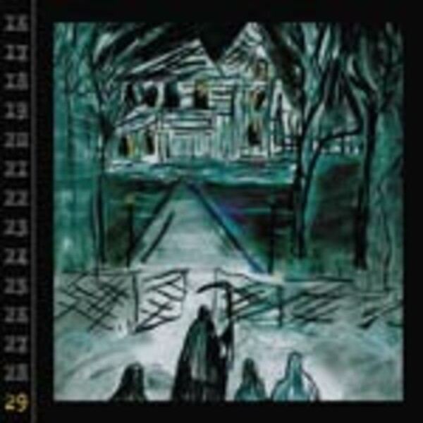 Cover RYAN ADAMS, 29
