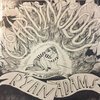 RYAN ADAMS – cardinology (LP Vinyl)