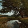 S. CAREY – hundred acres (CD)