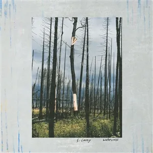 S. CAREY – watercress (12" Vinyl)