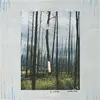 S. CAREY – watercress (12" Vinyl)
