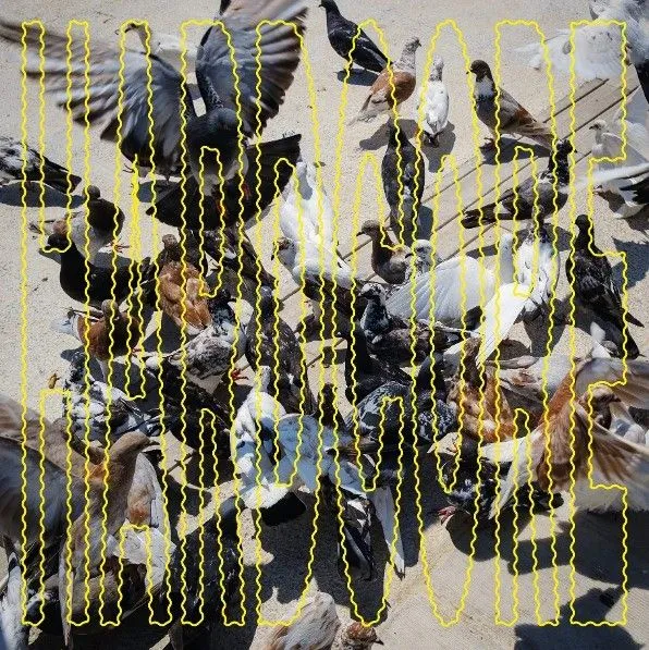 SALÓ – hardcore (LP Vinyl)