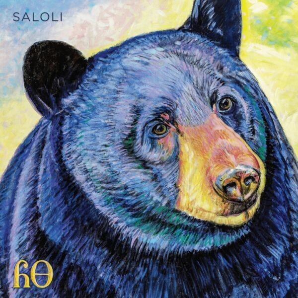 SALOLI – canyon (LP Vinyl)