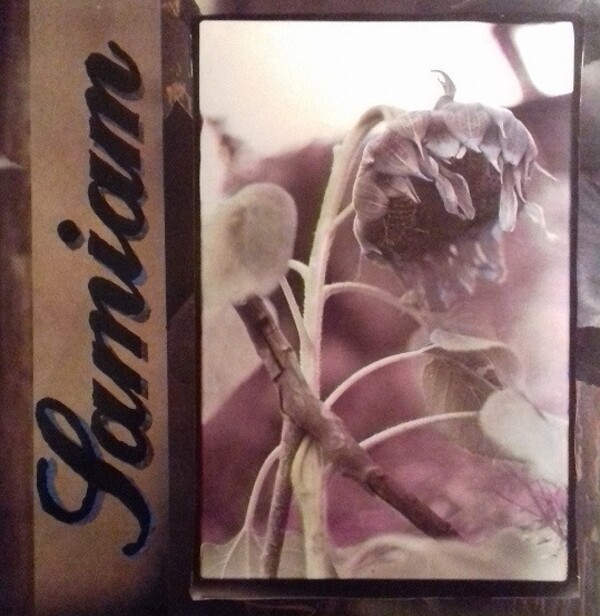 SAMIAM – s/t (LP Vinyl)