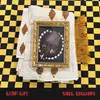 SAUL WILLIAMS – leap life (CD, LP Vinyl)