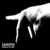 SAUROPOD – roaring at the storm (CD, LP Vinyl)
