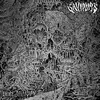 SAVIOURS – palace of vision (CD, LP Vinyl)