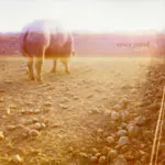 SAVOY GRAND – accident book (CD)