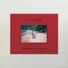 SCHLAMMPEITZIGER – freundlichbaracudamelodieliedgut (LP Vinyl)