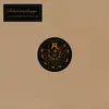 SCHLAMMPEITZIGER – meine unterkunft ist die vernunft (LP Vinyl)