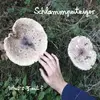SCHLAMMPEITZIGER – what´s fruit? (CD, LP Vinyl)