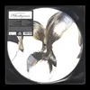 SCHROTTGRENZE – chateau schrottgrenze (LP Vinyl)