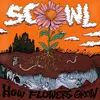 SCOWL – how flowers grow (LP Vinyl)