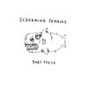 SCREAMING FEMALES – baby teeth (LP Vinyl)