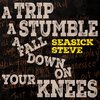 SEASICK STEVE – a trip a stumble a fall down on your knees (CD, Kassette, LP Vinyl)