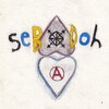 SEBADOH – defend yourself (CD, LP Vinyl)