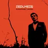 SEDLMEIR – fluchtpunk risiko (LP Vinyl)