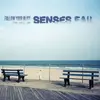 SENSES FAIL – follow your bliss (LP Vinyl)