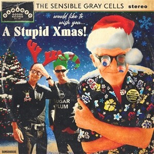 SENSIBLE GRAY CELLS – a stupid xmas (7" Vinyl)