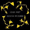 SENSOR GHOST – irritation on demand (LP Vinyl)
