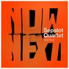 SEPALOT QUARTET – nownext (LP Vinyl)