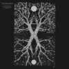 SHAAM LAREIN – sculpture (CD, LP Vinyl)