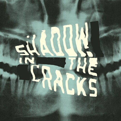 SHADOW IN THE CRACKS, s/t cover