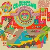 SHANA CLEVELAND – night of the worm moon (Kassette, LP Vinyl)