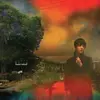 SHARON VAN ETTEN – we´ve been going about this all wrong (CD, Kassette, LP Vinyl)