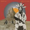 SHAWN LEE – rides yet again (LP Vinyl)