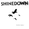SHINEDOWN – sound of madness (CD)