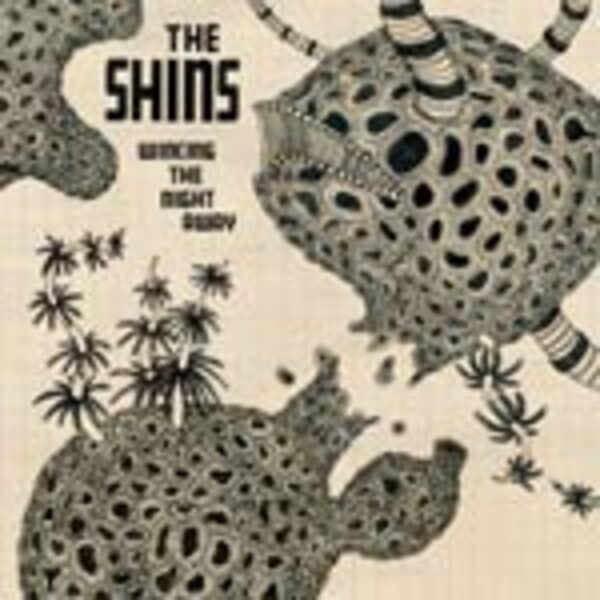 SHINS, wincing the night away cover