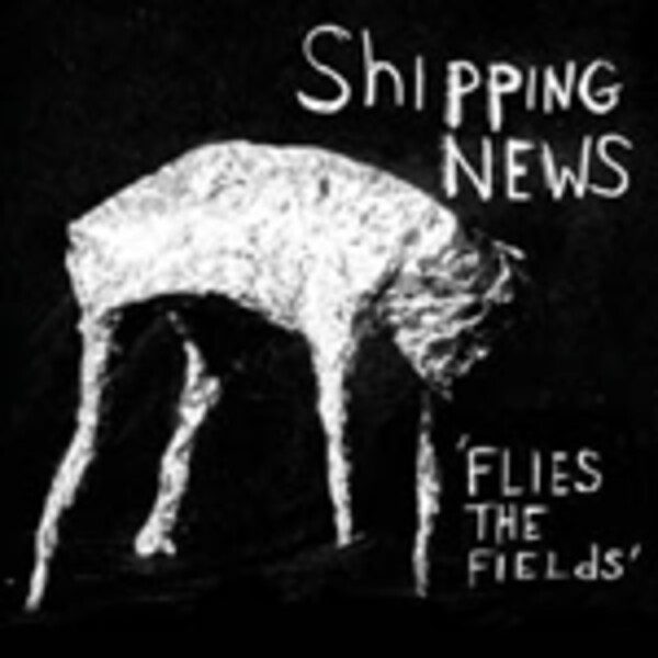 SHIPPING NEWS, flies the fields cover