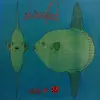 SHIZOFISH – sag mal würfel (LP Vinyl)