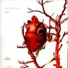 SILICON SOUL – pouti (CD)