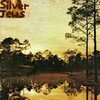 SILVER JEWS – starlite walker (LP Vinyl)