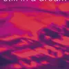 SIMON REYNOLDS – still in a dream (shoegaze, grunge, dreampop...) (Papier)