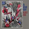 SIR RICHARD BISHOP – hillbilly ragas (LP Vinyl)