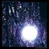SIX ORGANS OF ADMITTANCE – luminous night (CD, LP Vinyl)