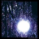 SIX ORGANS OF ADMITTANCE – luminous night (CD)