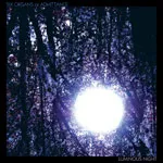 SIX ORGANS OF ADMITTANCE – luminous night (CD)