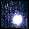 SIX ORGANS OF ADMITTANCE – luminous night (CD)