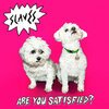 SLAVES – are you satisfied (CD, LP Vinyl)