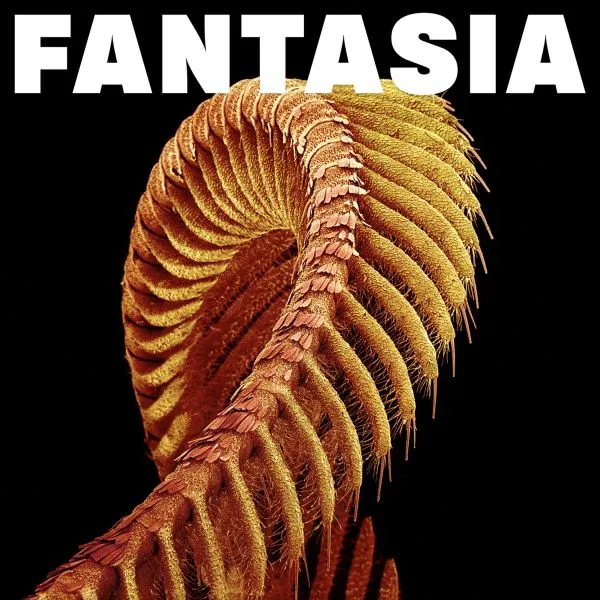 SLIFT – fantasia (CD, LP Vinyl)